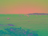 IMGP2764 edited (Medium)